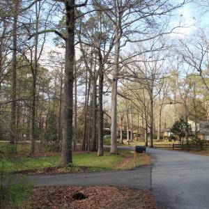 IMG_8019 - Copy