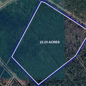 3MLS_22.25acres_Hoke-1