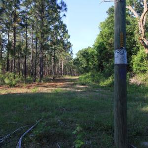 Copy of Ground North Parcel Access