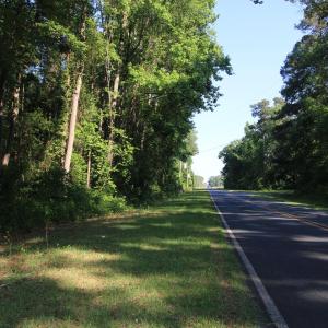 Copy of Ground West Parcel Duffie Road 3