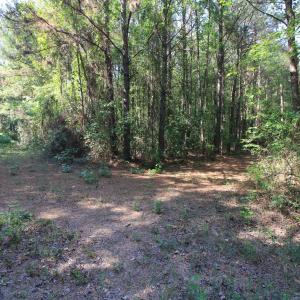 Copy of Ground West Parcel Trail Interse
