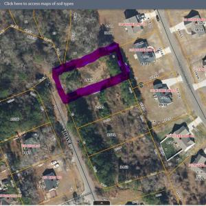 Lot 16 GIS Image
