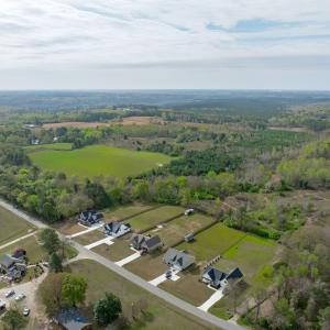 Aerial-6