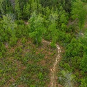 Lot 6 Land8 Trail