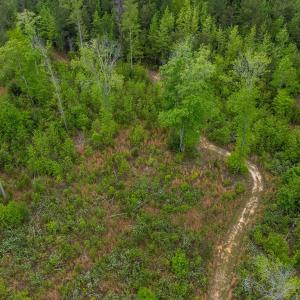Lot 6 Land9 Trail