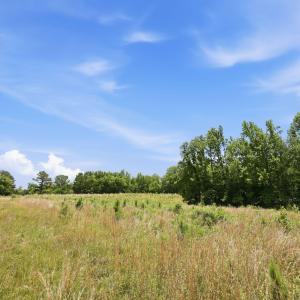 Photo #11 of Pope, Creedmoor, NC 30.0 acres