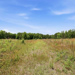Photo #16 of Pope, Creedmoor, NC 30.0 acres
