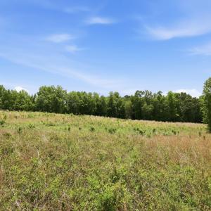 Photo #17 of Pope, Creedmoor, NC 30.0 acres