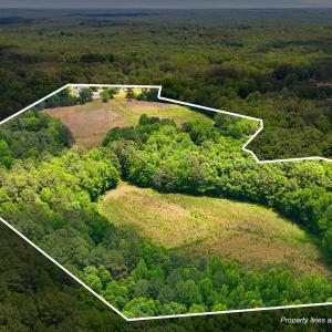 Photo #2 of Pope, Creedmoor, NC 30.0 acres
