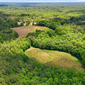 Photo #13 of Pope, Creedmoor, NC 30.0 acres