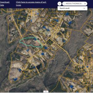 Photo #5 of Pope, Creedmoor, NC 30.0 acres