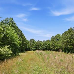 Photo #19 of Pope, Creedmoor, NC 30.0 acres