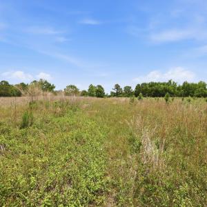 Photo #18 of Pope, Creedmoor, NC 30.0 acres