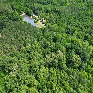 007_DJI_0316