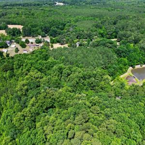 008_DJI_0318