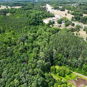 009_DJI_0319
