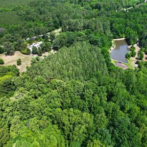 010_DJI_0317