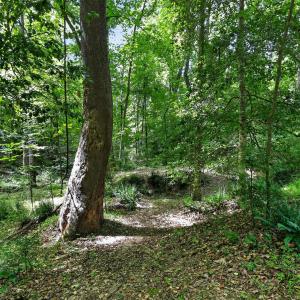 015_IMG_7655