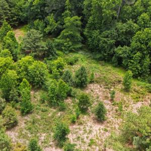 Rosemmont Lane land (14)