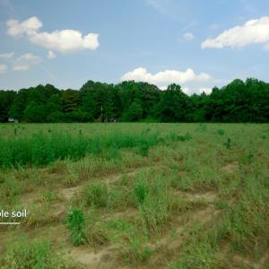 Sampson County Property Still Photo13