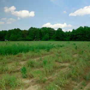 Sampson County Property Still Photo13-1