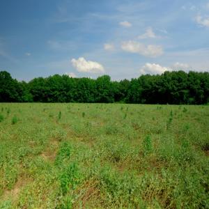 Sampson County Property Still Photo16-1
