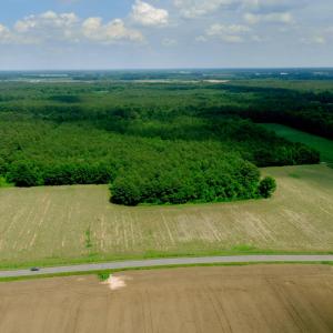 Photo #31 of 2 Bowden, Turkey, NC 11.0 acres