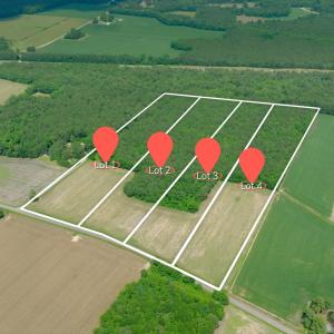 Photo #1 of 2 Bowden, Turkey, NC 11.0 acres