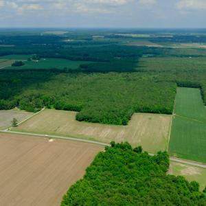 Photo #21 of 2 Bowden, Turkey, NC 11.0 acres