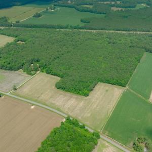 Photo #24 of 2 Bowden, Turkey, NC 11.0 acres