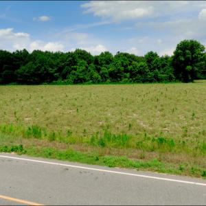 Photo #5 of 2 Bowden, Turkey, NC 11.0 acres