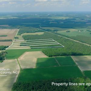 Photo #3 of 2 Bowden, Turkey, NC 11.0 acres