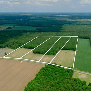 Photo #13 of 2 Bowden, Turkey, NC 11.0 acres