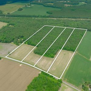 Photo #8 of 2 Bowden, Turkey, NC 11.0 acres