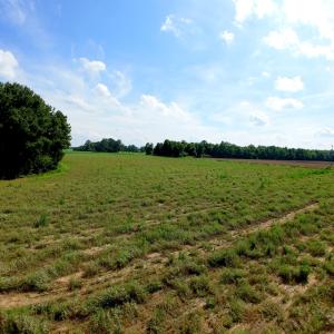 Photo #29 of 2 Bowden, Turkey, NC 11.0 acres