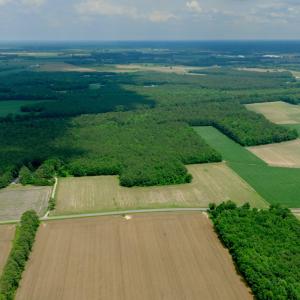 Photo #20 of 2 Bowden, Turkey, NC 11.0 acres