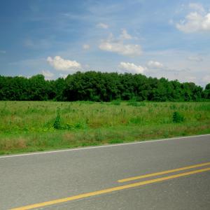 Photo #26 of 2 Bowden, Turkey, NC 11.0 acres