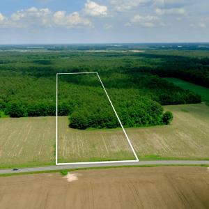 Photo #2 of 2 Bowden, Turkey, NC 11.0 acres