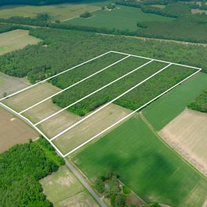 Photo #7 of 2 Bowden, Turkey, NC 11.0 acres