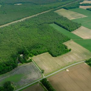 Photo #23 of 2 Bowden, Turkey, NC 11.0 acres