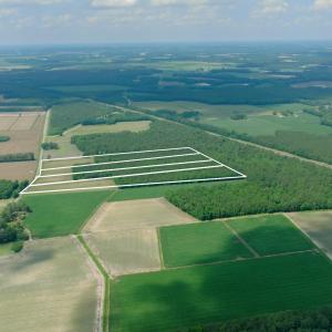 Photo #4 of 2 Bowden, Turkey, NC 11.0 acres