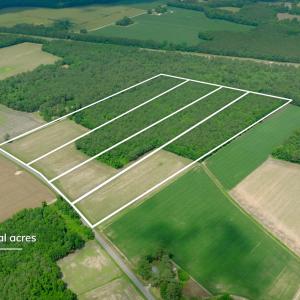 Photo #6 of 2 Bowden, Turkey, NC 11.0 acres