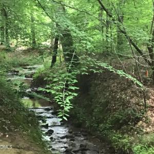Stream on the border of the property