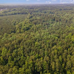 003_dji_0036-edit