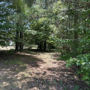 Photo #2 of 9731 Old Middlesex, Middlesex, NC 1.2 acres