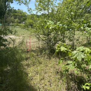 Photo #4 of 9731 Old Middlesex, Middlesex, NC 1.2 acres