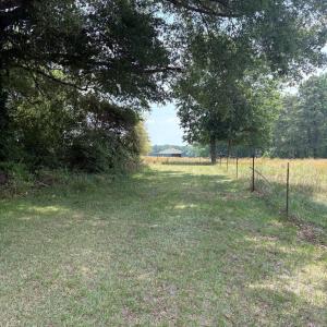 Photo #3 of 1 Cornwallis, Garner, NC 31.4 acres