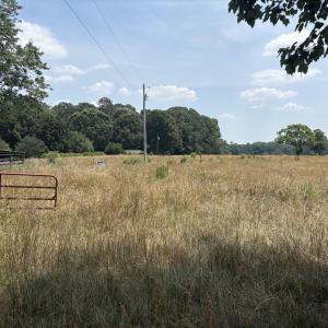 Photo #6 of 1 Cornwallis, Garner, NC 31.4 acres