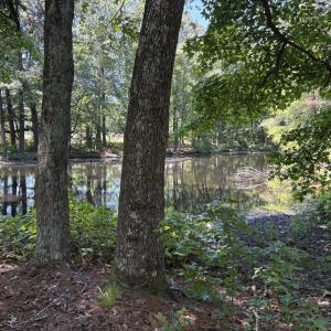 Photo #4 of 1 Cornwallis, Garner, NC 31.4 acres