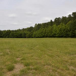 2822 Little River Church- 40 acres